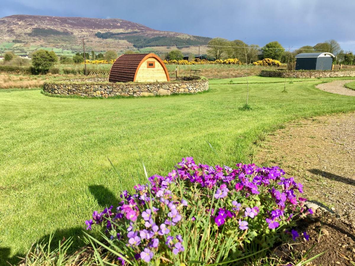 Отель Bluebell Lane Glamping Ньюри Экстерьер фото