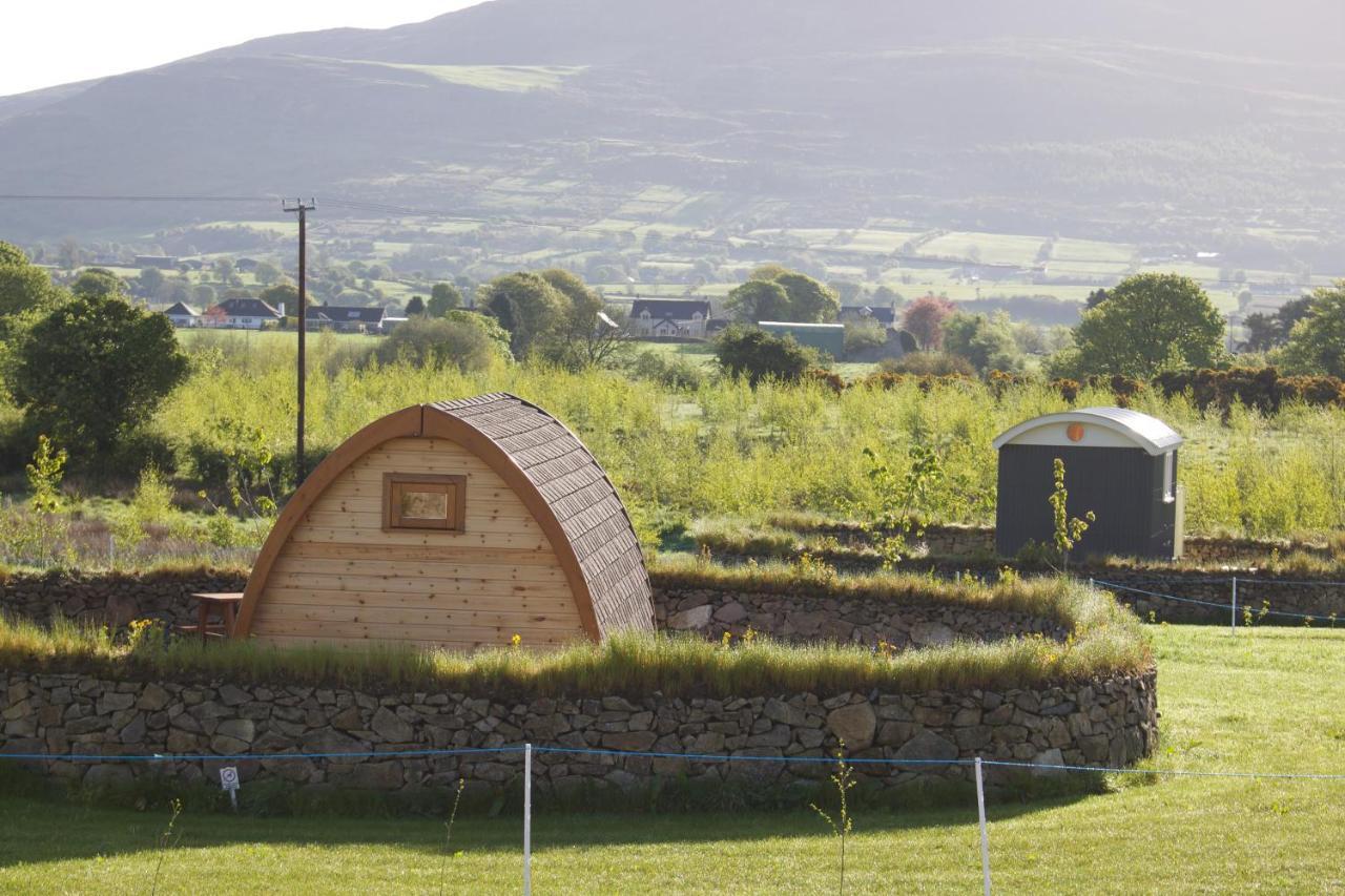 Отель Bluebell Lane Glamping Ньюри Экстерьер фото