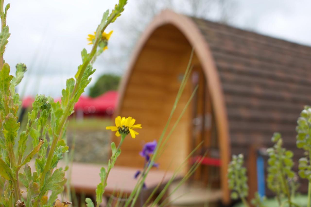 Отель Bluebell Lane Glamping Ньюри Экстерьер фото